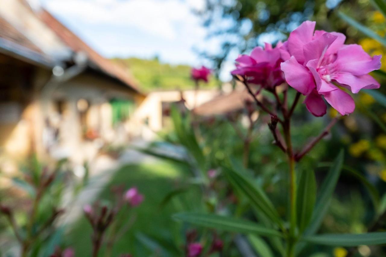 Villa Rihuini Eco Wine House Transylvania Richisu Exterior foto